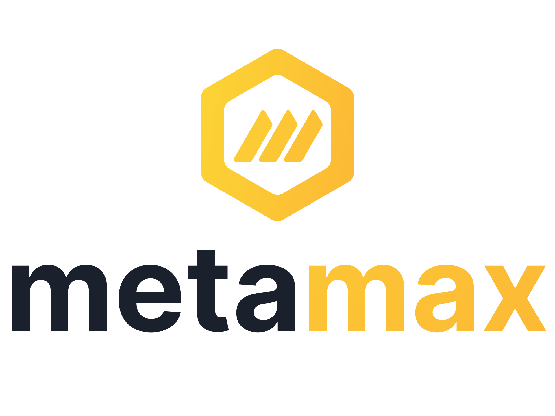 Metamax Teknoloji Anonim Şirketi