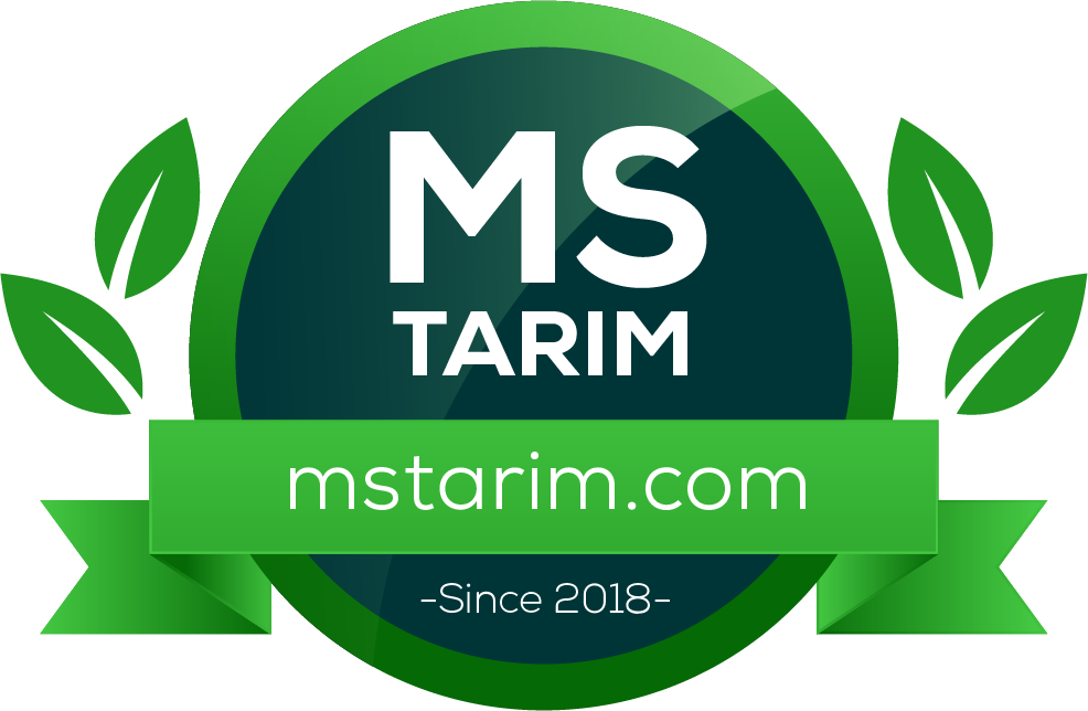 MS TARIM