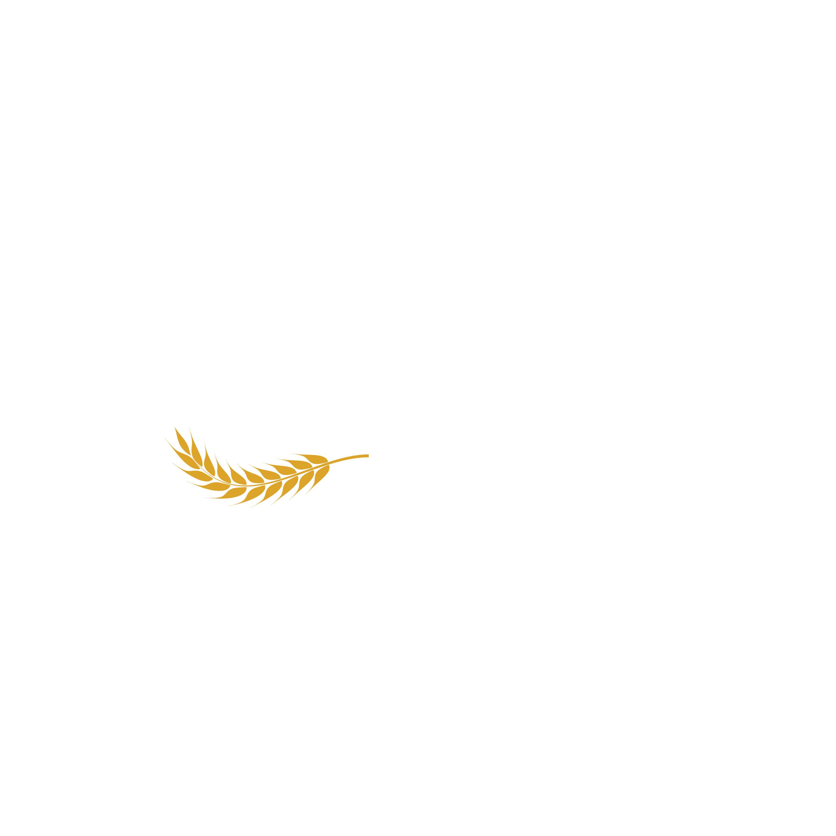 Dinç Eğitim Danışmanlık Reklam Yayıncılık Gıda Ve Ticaret Limited Şirketi