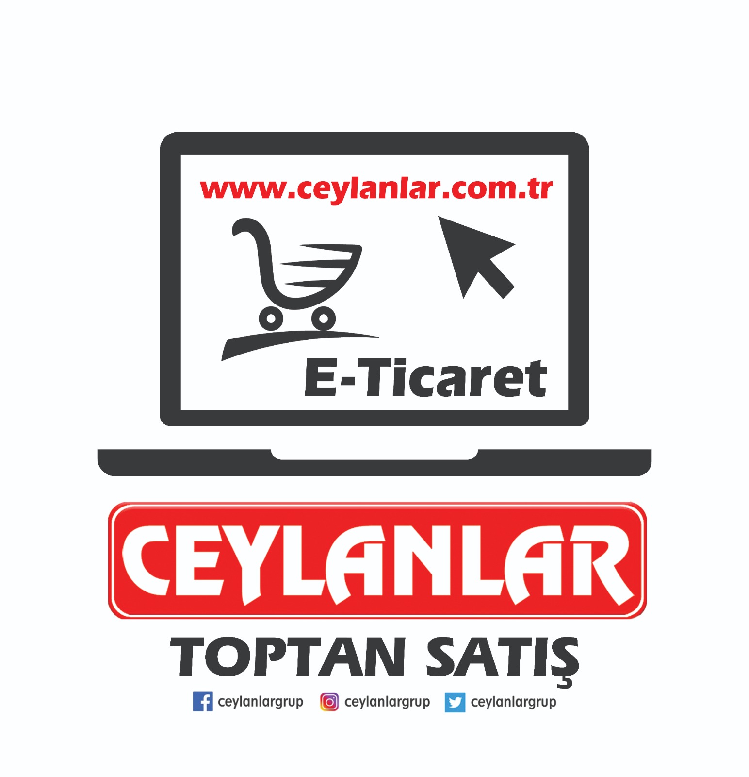 Ceylanlar Sosyal Hizmetler Hırdavat Gıda İnşaat Nakliyat Ve Yakıt Sanayi Ve Ticaret Limited Şirketi