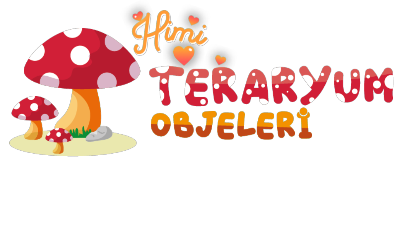 Yiğit Eroğlu  Himi Teraryum Objeleri