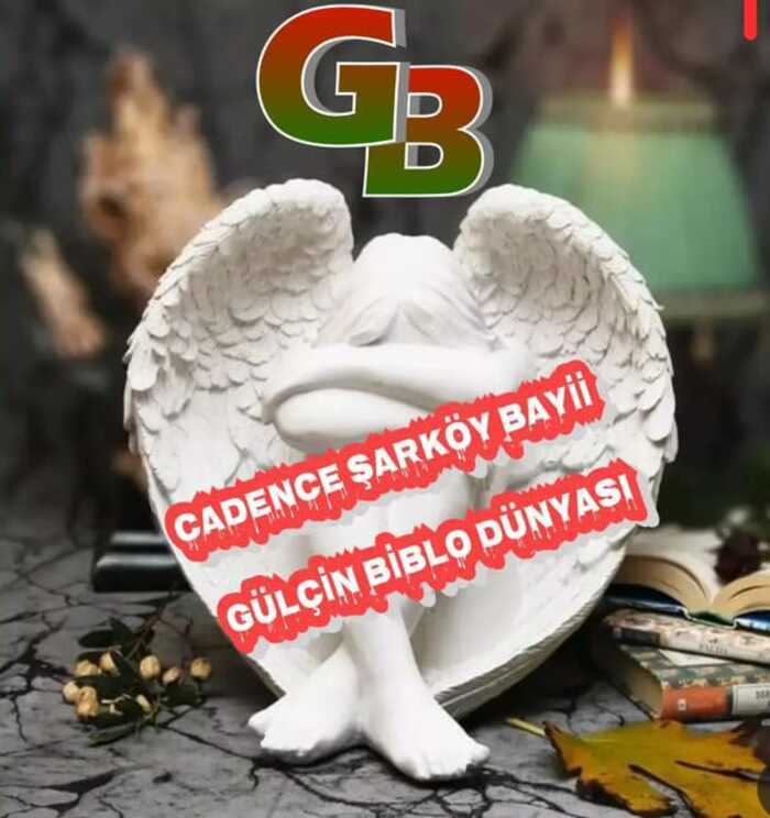 Gülçin Akyürek  Gülçin Alçı Ve Kalıp Dünyası