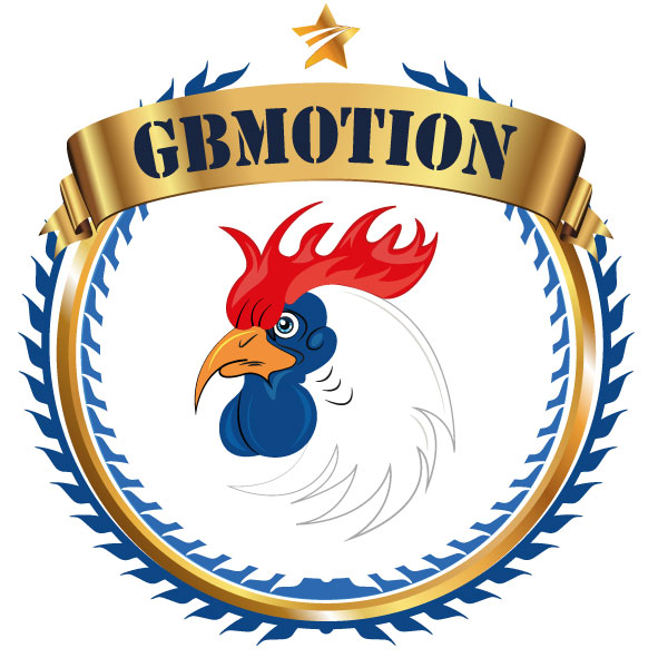 Gbmotion Elektronik Hizmetler Ticaret Limited Şirketi 