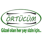 Aynur Sevim  -