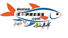 Oğuz Durmuş  Akvaryumexpress.Com