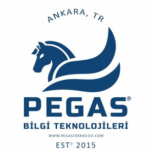 Pegas Bilgi Teknolojileri Sanayi Ve Dış Ticaret Anonim Şirketi