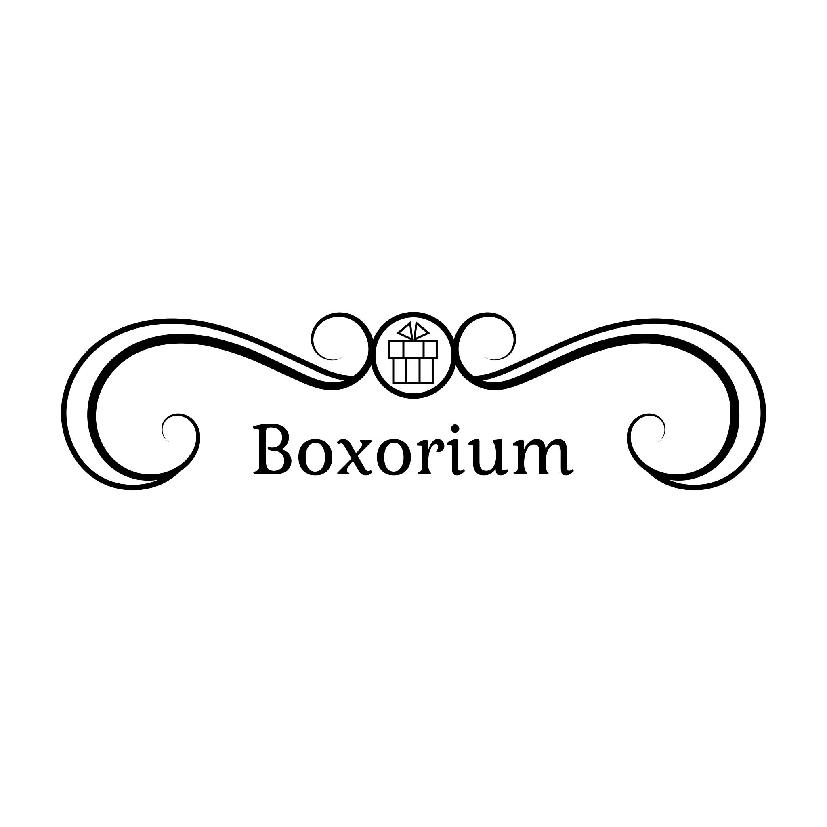 Can Gazioğlu  Boxorıum E-Ticaret 