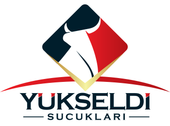 Ali Yükseldi