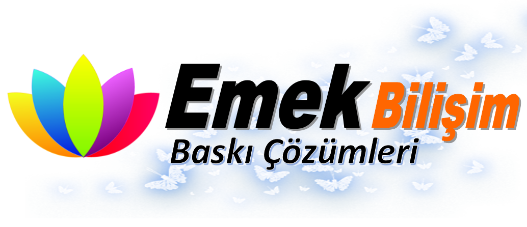 Neşe Altınel  Emek Bilişim