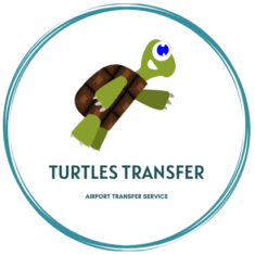 https://www.turtlestransfer.com/