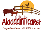 Alaaddinticaret.com