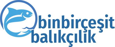 binbircesitbalik