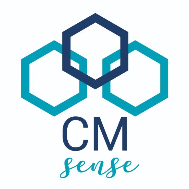 Cmsense Teknoloji Danışmanlık Ve Dış Ticaret Limited Şirketi