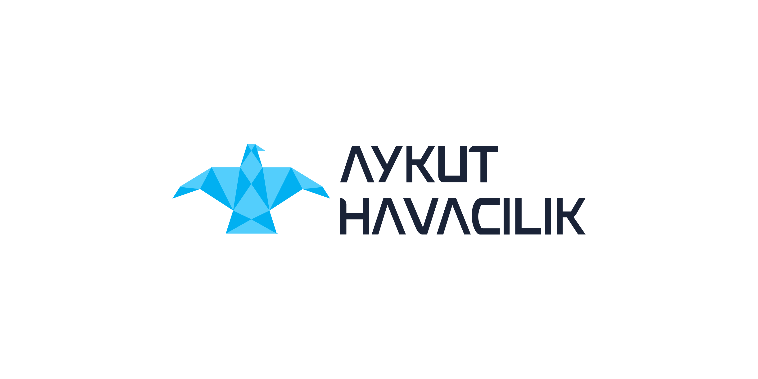 Aykut Havacılık Sanayi Ve Ticaret Anonim Şirketi