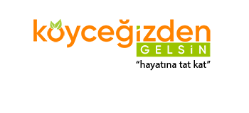 koycegizdengelsin.com