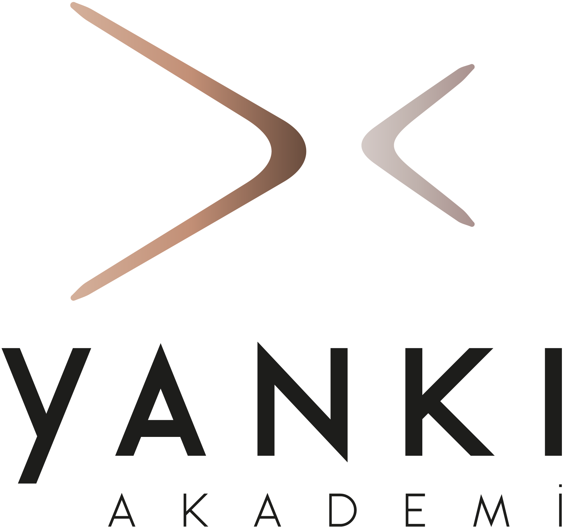 Yankı Akademi Yönetim Ve İş Çözümleri Ticaret Limited Şirketi