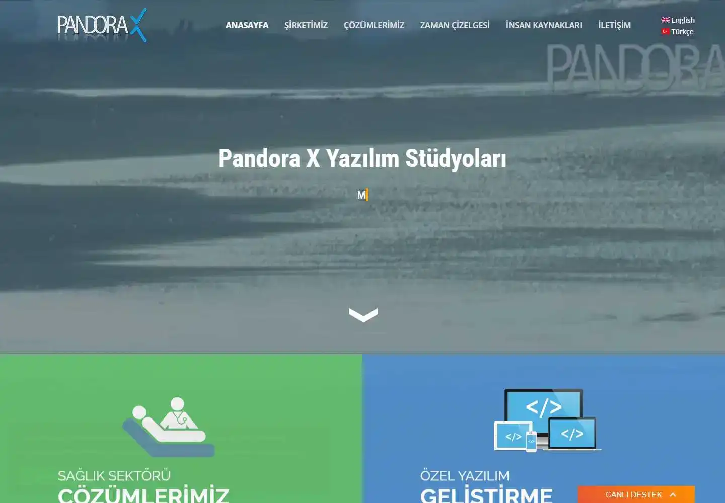 Pandora X Yazılım Araştırma Geliştirme Danışmanlık Hizmeti Limited Şirketi