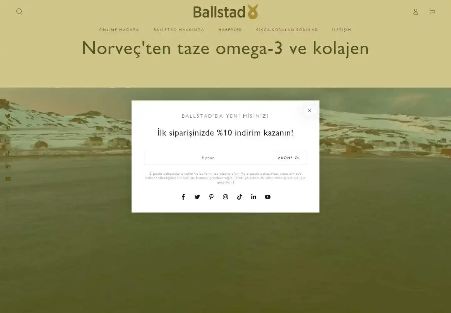 Ballstad Gıda Ürünleri Ticaret Anonim Şirketi