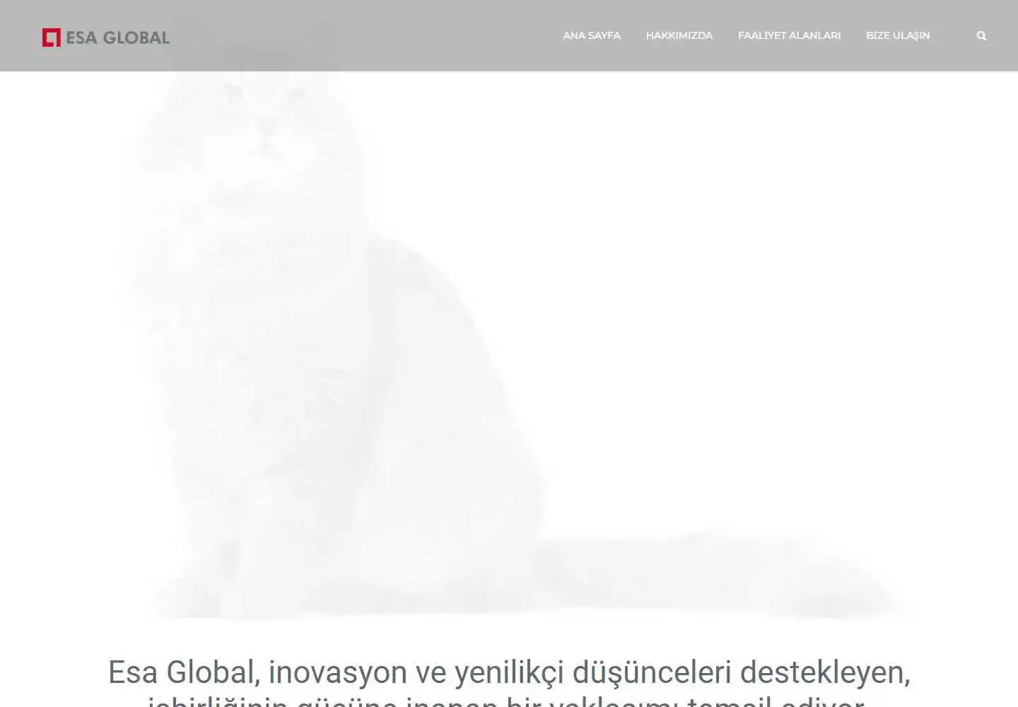 E S A Global İç Ve Dış Ticaret Anonim Şirketi