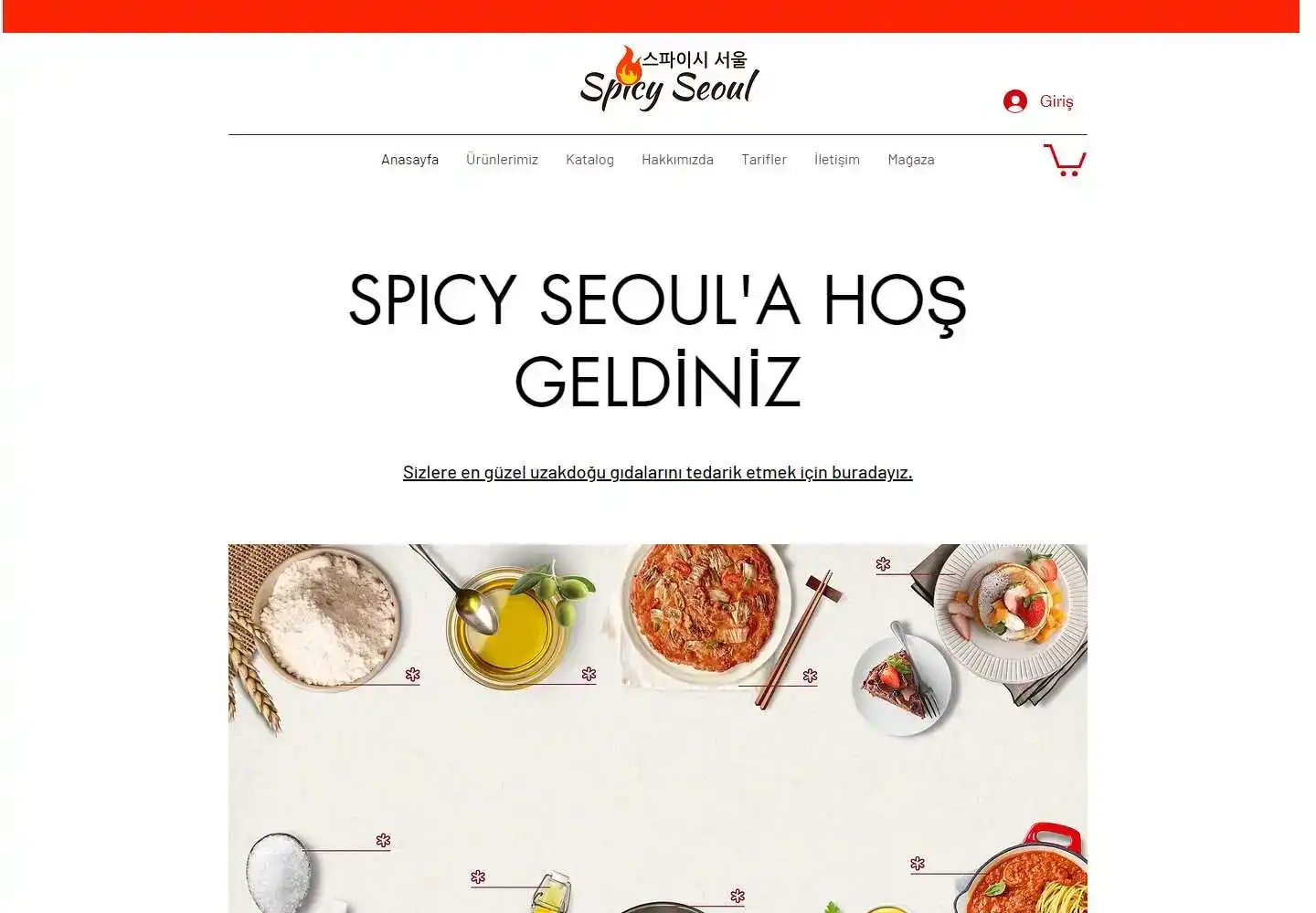 Spıcy Seoul Gıda Dış Ticaret Limited Şirketi