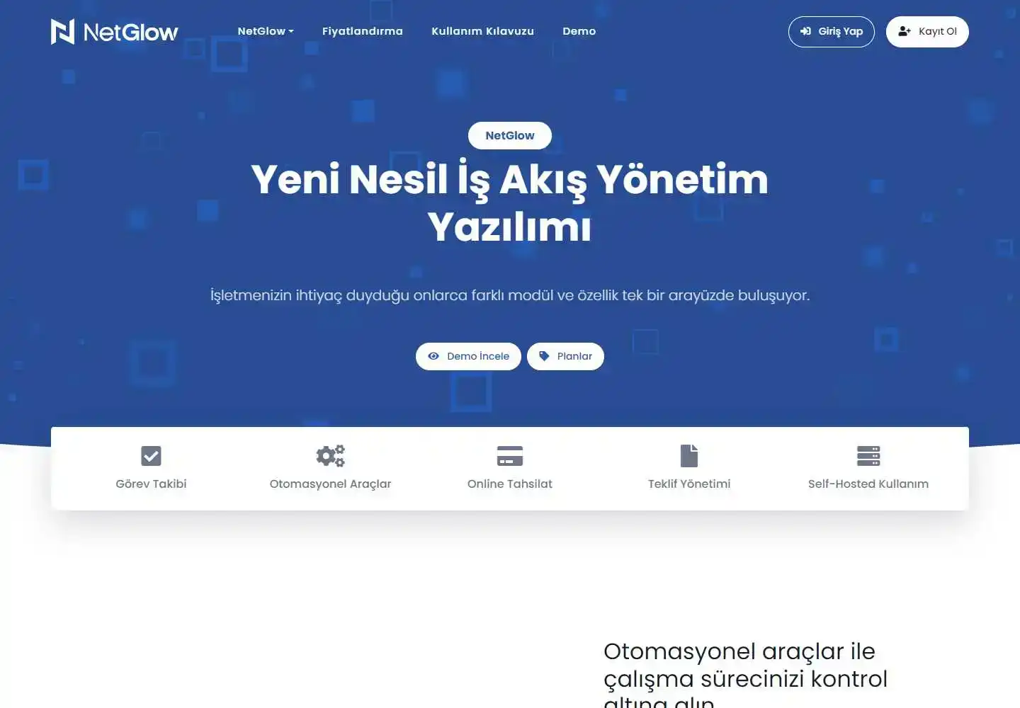 Netpus Yazılım Sanayi Ve Ticaret Limited Şirketi