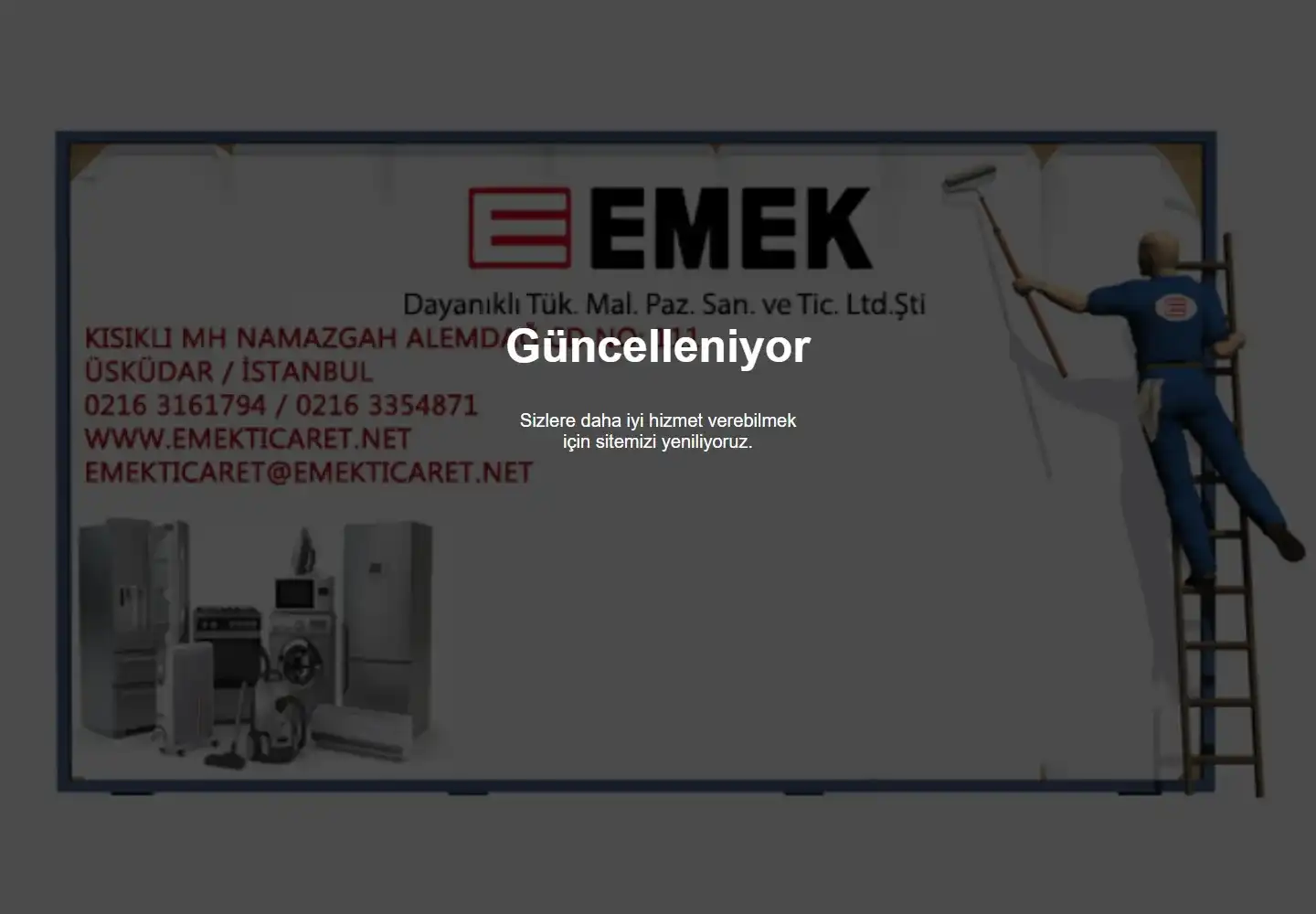 Emek Dayanıklı Tüketim Malları Pazarlama Sanayi Ve Ticaret Limited Şirketi